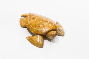 Tortuga Piedra